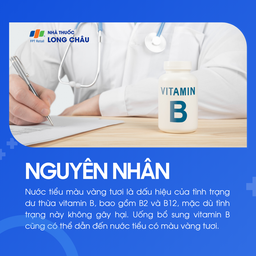 Nước tiểu vàng 3