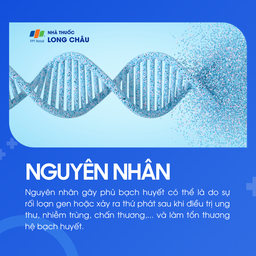 Phù bạch huyết 3