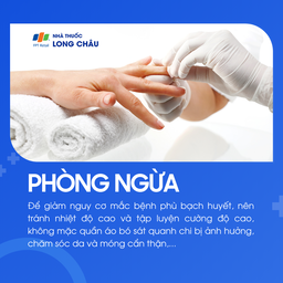 Phù bạch huyết 7