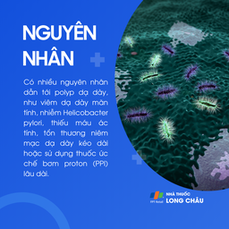 Polyp dạ dày 3