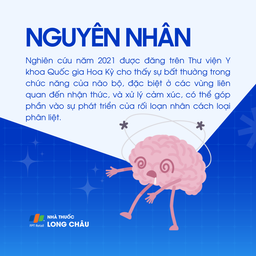 Rối loạn nhân cách phân liệt 3