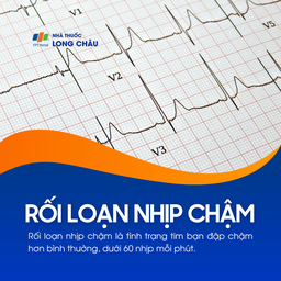 Rối loạn nhịp chậm 1