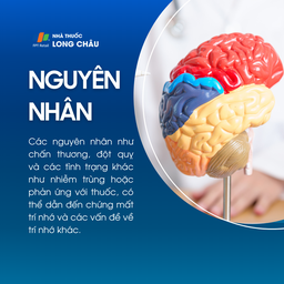 Rối loạn trí nhớ 3