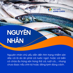 Nhiễm sán dây cá  3