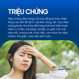 Say nắng là gì? Tình trạng cơ thể bị sốc nhiệt 2