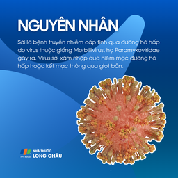 Nguyên nhân bệnh sởi do virus Morbillivirus