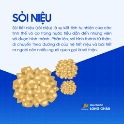Sỏi niệu 1