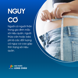 Sỏi niệu quản 4