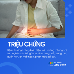 Sỏi ống mật chủ 2