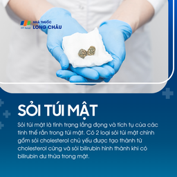 Sỏi túi mật 1