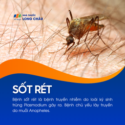Sốt rét 1