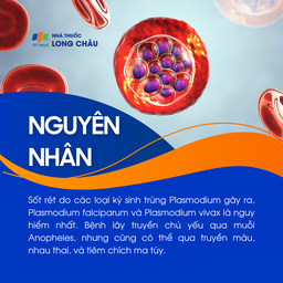 Sốt rét 3