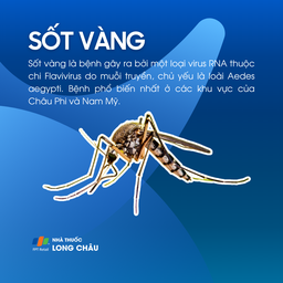 Sốt vàng 1