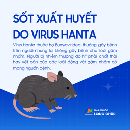 Sốt xuất huyết do virus Hanta 1