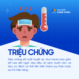 Sốt xuất huyết do virus Hanta 2