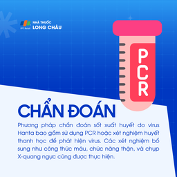 Sốt xuất huyết do virus Hanta 5