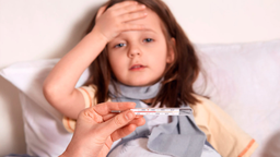 Sốt xuất huyết ở trẻ em 1