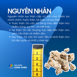 Suy thận cấp 4