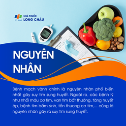 Suy tim sung huyết 3