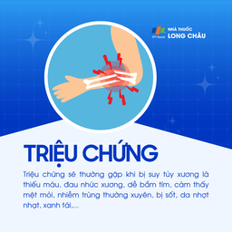 Suy tủy xương 2