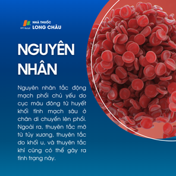 Tắc động mạch phổi 3