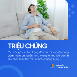 Tắc ruột 2