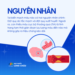 Tai biến mạch máu não 3