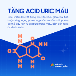 Tăng acid uric máu 1