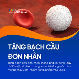 Tăng bạch cầu đơn nhân 1