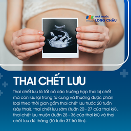 Thai chết lưu 1