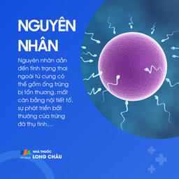 Thai ngoài tử cung 3