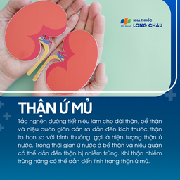 Thận ứ mủ 1
