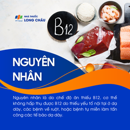 Thiếu máu do thiếu vitamin B12 3