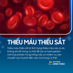 Thiếu máu thiếu sắt 1