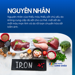 Thiếu máu thiếu sắt 4