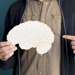 Thiểu sản tiểu não 3