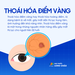 Thoái hóa điểm vàng 1