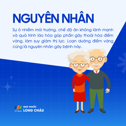 Thoái hóa điểm vàng 3