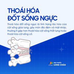 Thoái hóa đốt sống ngực 1