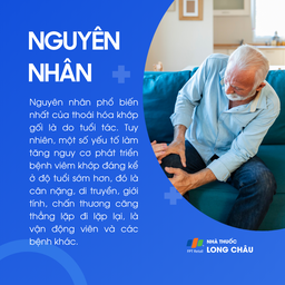 Thoái hóa khớp gối 3