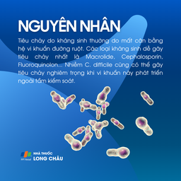 Tiêu chảy do kháng sinh 3