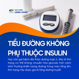 Tiểu đường không phụ thuộc insulin 1