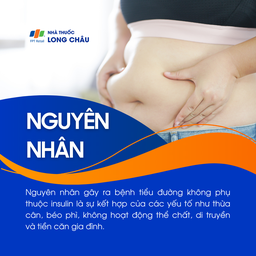 Tiểu đường không phụ thuộc insulin 3