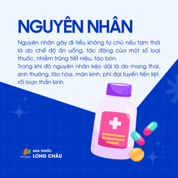 Tiểu không tự chủ 3