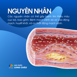 Tim thiếu máu cục bộ 3