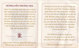 Trà Thảo Dược Cà Gai Leo Kami Tea (20 túi lọc x 2g)