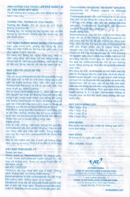 Kem bôi da Trisula 20g An Thiên Pharma điều trị các bệnh nhiễm khuẩn ngoài da 