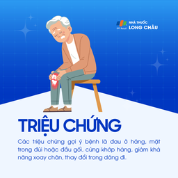 Trượt đầu trên xương đùi 2