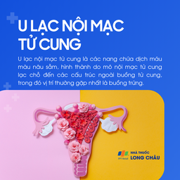 U lạc nội mạc tử cung 1
