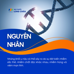 U lympho không Hodgkin 3